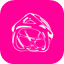 Destrio Core